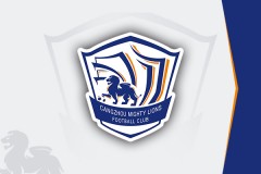 中超沧州雄狮1-1深圳新鹏城 埃韦尔破门奥尔蒂斯扳平
